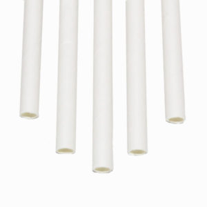10 Regular White Straws (Slim) 500/box - RiteEarth Leading